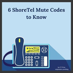 6 Common ShoreTel Mute Codes Used for Setup and Troubleshooting